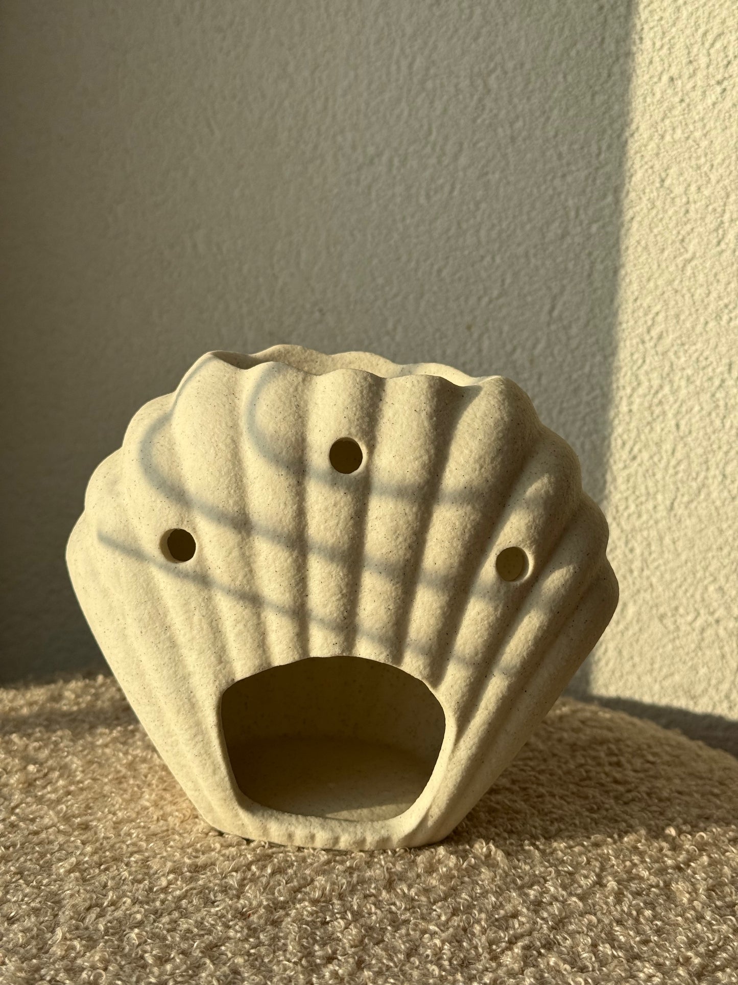 Coquillage texturé
