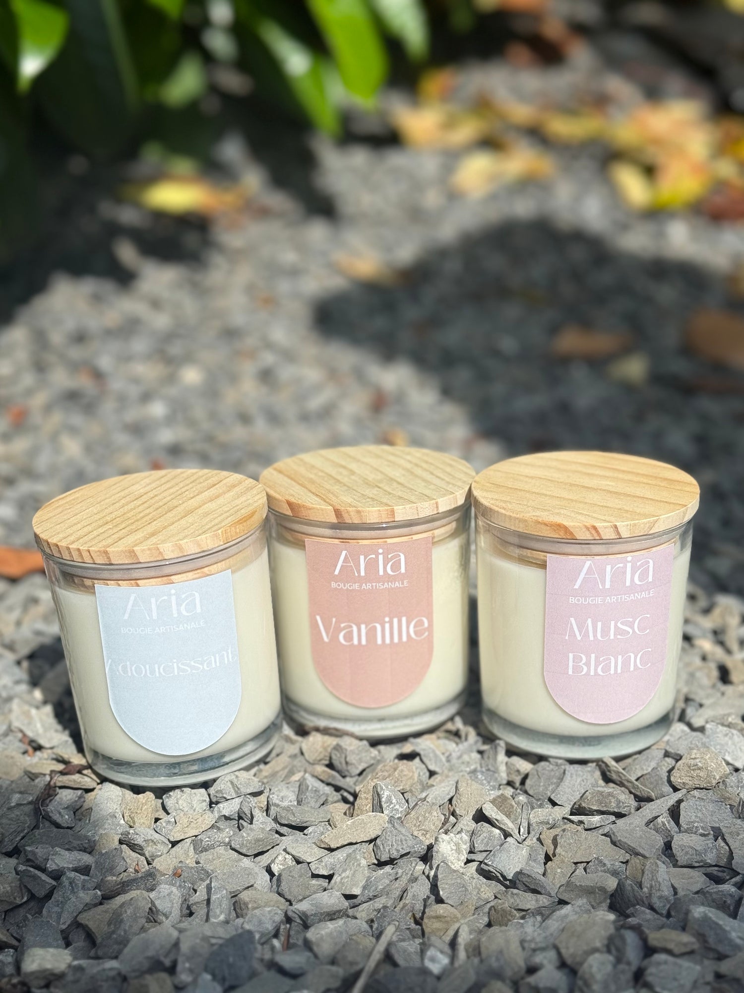 Bougies en pots