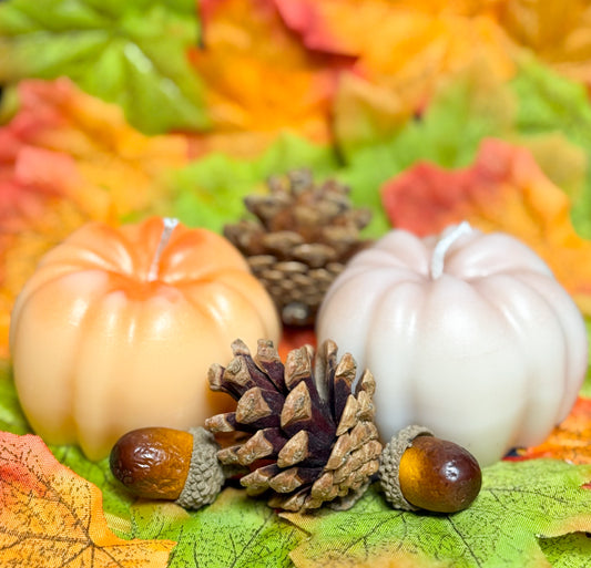 Flamme d’automne 🍁