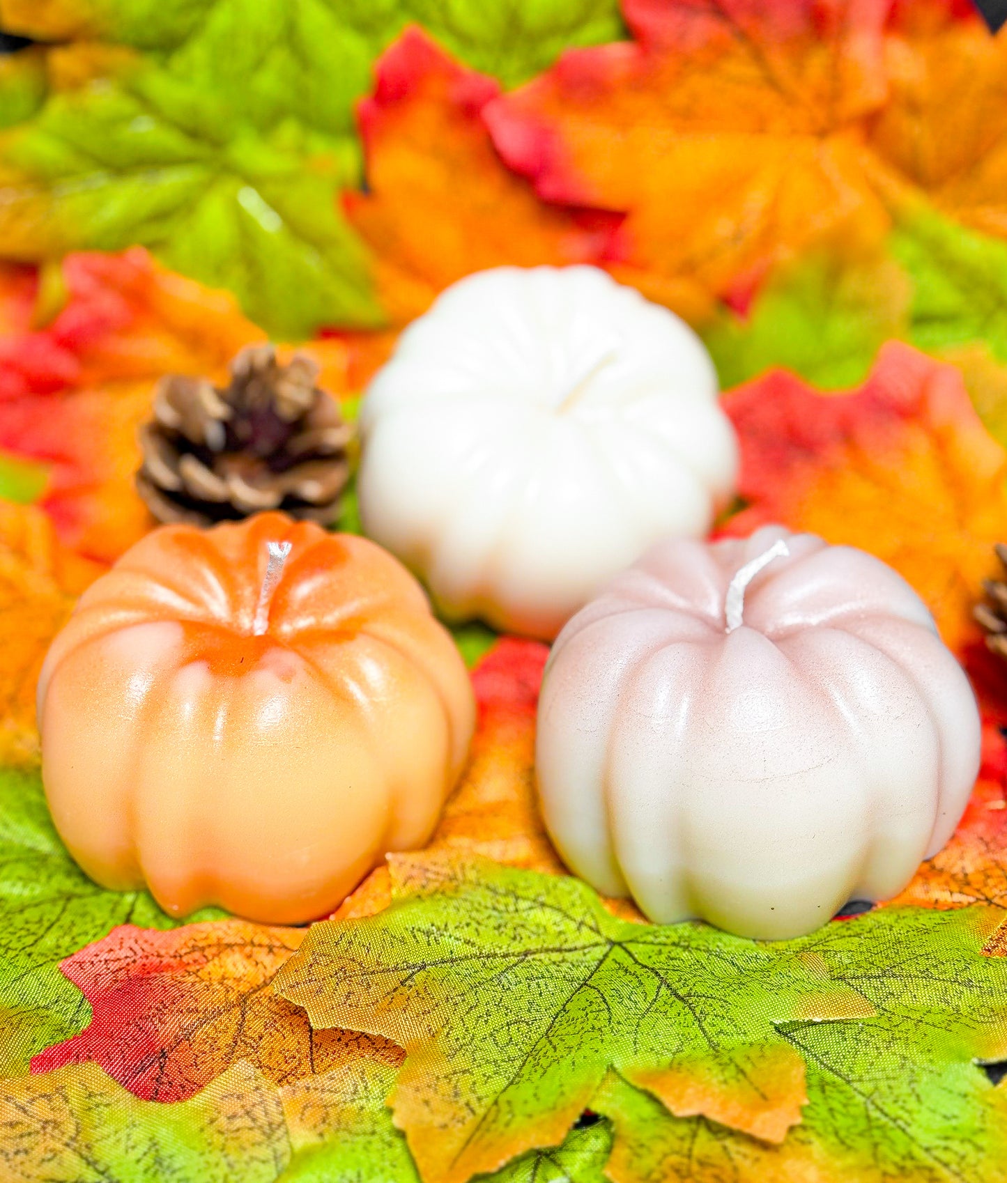 Flamme d’automne 🍁