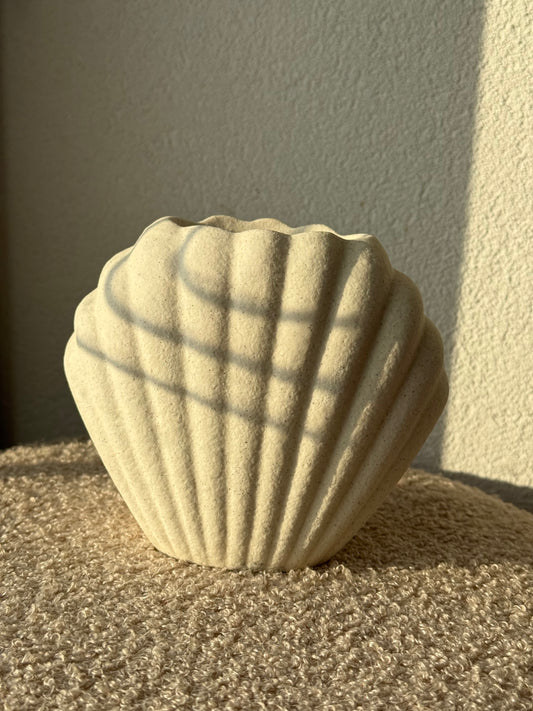 Coquillage texturé