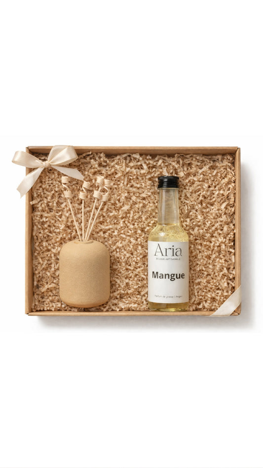 Diffuseur + Recharge
